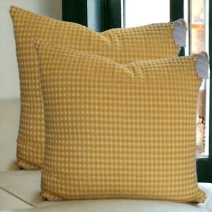 INUP (2)🪶 filled decorative accent pillows 22x22